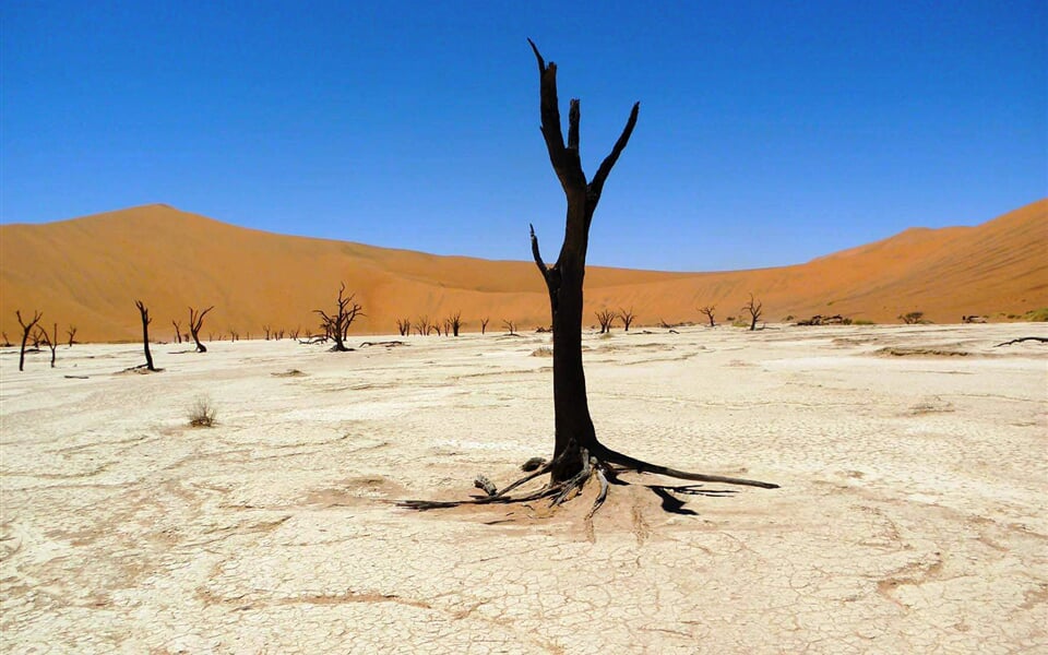 Poust Namib 5