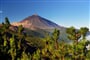 Poznávací zájezd Španělsko - Kanárské ostrovy - Tenerife - NP Teide
