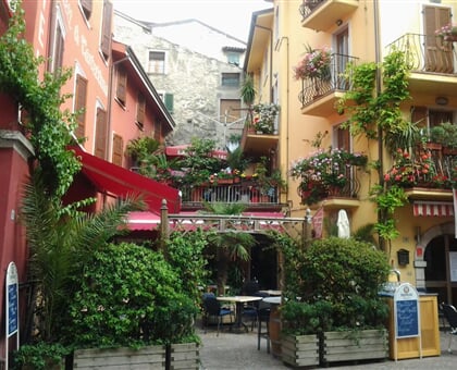 danieli la cestellana brenzone 2019 (15)