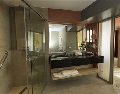 DHSR Aqua suite deluxe bathroom