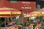 blumen hotel rimini 2019 (13)