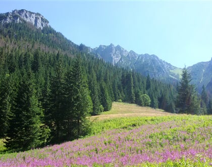 Polsko Tatry koscieliska2