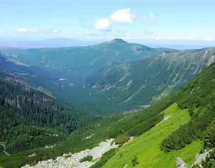 Slovensko osobita