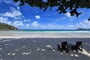 Foto - Bangkok - Pattaya - Ko Samet (Thajsko)