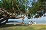 Foto - Bangkok - Ko Chang (Thajsko)