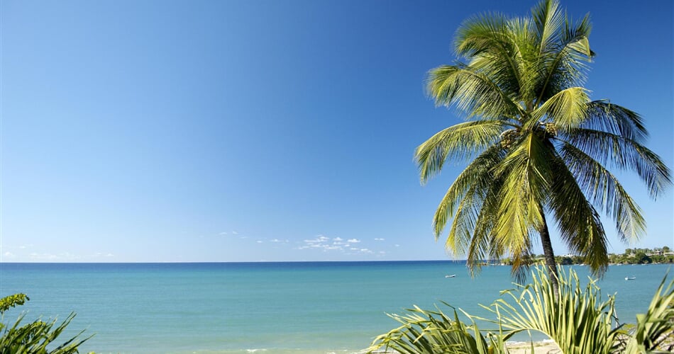 Foto - Tobago - Barbados