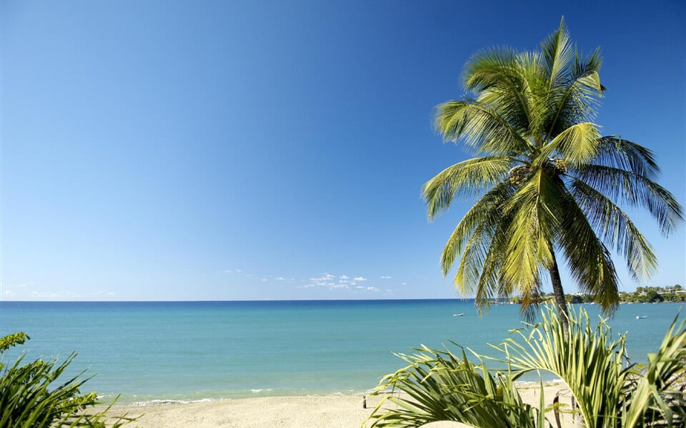 Foto - Tobago - Barbados