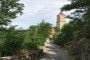 zvikov