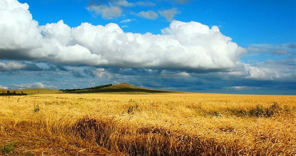 Kazachstán - úrodná pole produkují i na vývoz (Wiki free)