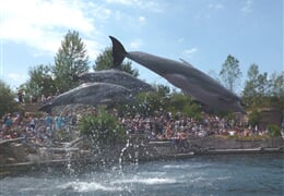 ZOO a Delfinárium v Norimberku