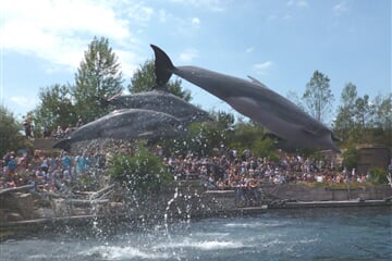 ZOO a Delfinárium v Norimberku