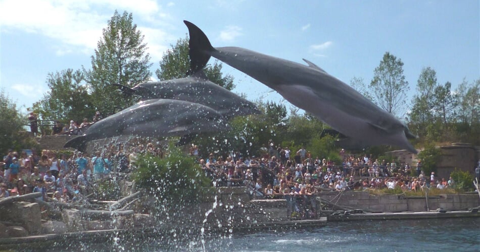 Delfinarium