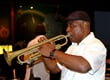 trumpeter 2537638 1920