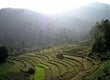 nepal 386 1920