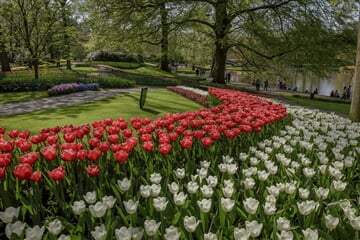 Jarní Holandsko s květinovým korzem