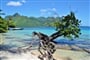 Foto - Francouzská Polynésie