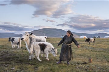 Hotel - poznávací zájezd Mongolsko