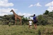 Jak blízko se odvážíte k překvapivě přátelské žirafě v divoké přírodě?