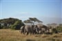 Mt. Kilimanjaro z keňské savany obývané několika tisíci exotických zvířat