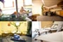 16 Hotel Moserwirt A21 Rakousko