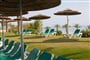 David Dead Sea (16)