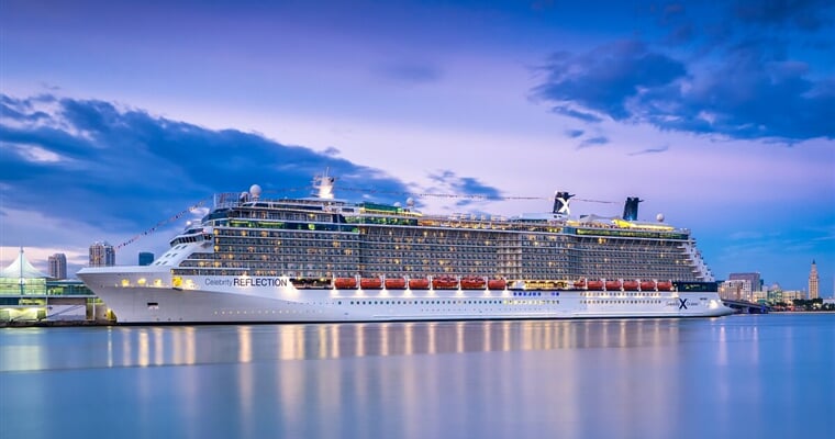 Celebrity Reflection (1)