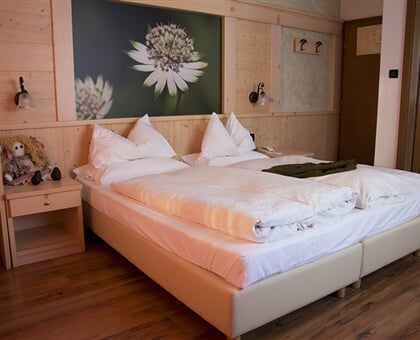 caminetto mountain lavarone 2019 (6)