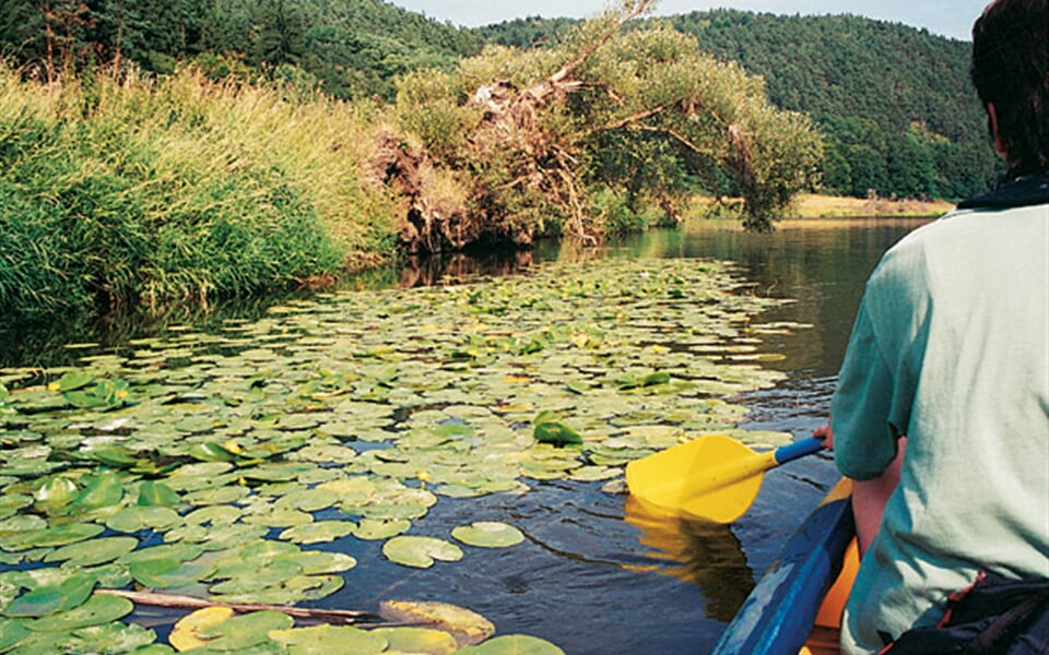 Foto - Berounka - 5denní voda z Liblína do Karlštejna