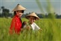 Foto - Luxusní velký poznávací okruh - To nejlepší z Vietnamu s prodloužením o Kambodžu