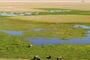 View_of_the_Marsh_from_Obsrervation_Hill_-__Amboseli_Serena
