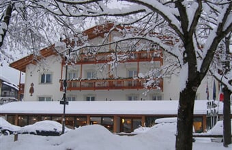 Hotel Los Andes *** - Castello di Fiemme