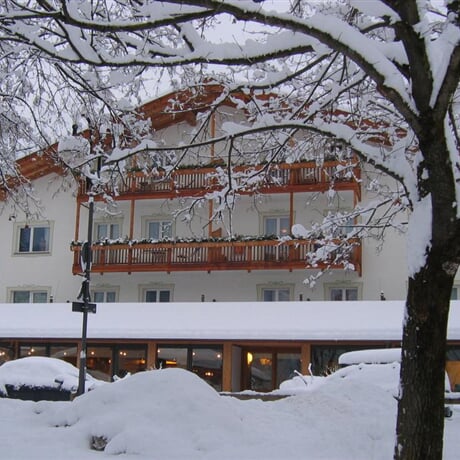 Hotel Los Andes *** - Castello di Fiemme
