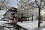 rodes hotel ortisei 2020 (13)