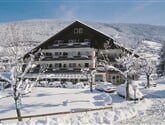 Hotel Rodes *** - Ortisei