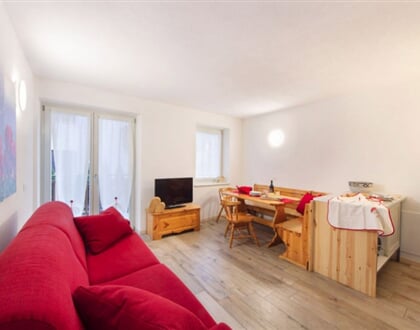 faggio rosso molveno 2020 (12)