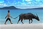 Sihanoukville (6)