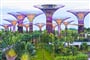 Singapur (5)
