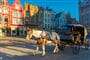 SILVESTR BRUGGY 2