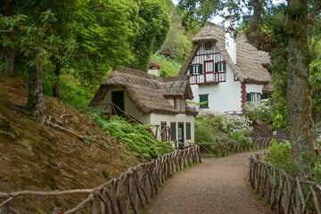 madeira, house in the forest, thatch