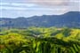 Madagaskar - NP Ranomafana - deštný prales