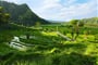 Poznávací zájezd Bali - rýžová terasovitá políčka