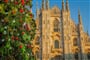 Poznávací zájezd Itálie - Milano - Duomo
