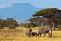 Poznávací zájezd do Tanzánie  -  Kilimandžáro