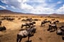 Poznávací zájezd do Tanzánie - kráter  Ngorongoro