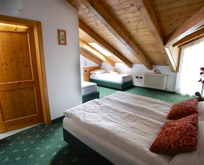 Alp hotel Dolomiti   Dimaro (10)