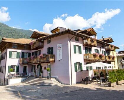Alp hotel Dolomiti   Dimaro (5)
