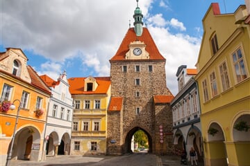 Český Les, Horní Falc A Chodsko