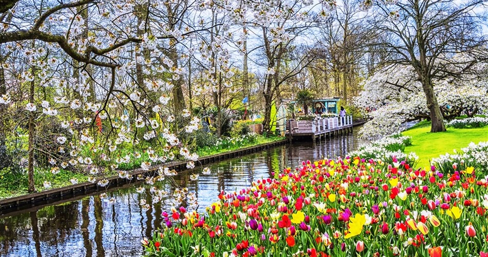 Poznávací zájezd Holandsko - květinový park Keukenhof