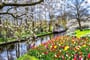 Poznávací zájezd Holandsko - květinový park Keukenhof