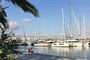 Mallroca - Palma - přístav
